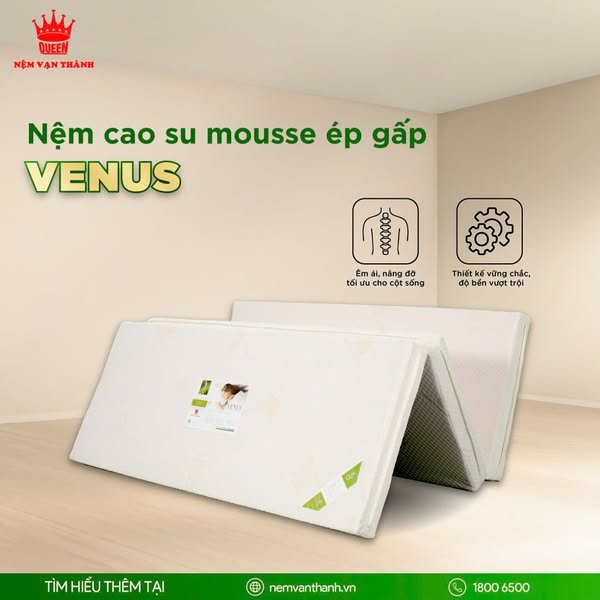 Nệm Gấp 3 Venus (Cao Su - Mousse Ép)